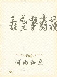 王成赵伟妈妈小说免费阅读