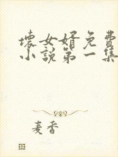 坏女婿免费网络小说第一集在线阅读下载全文