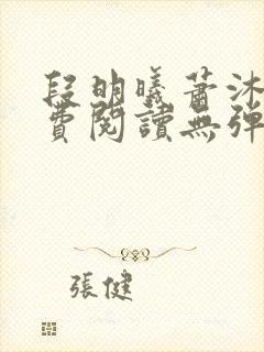 段明曦萧沐宸免费阅读无弹窗