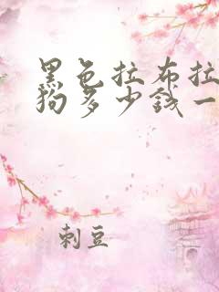 黑色拉布拉多小狗多少钱一只