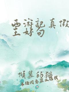 西游记真假美猴王好句