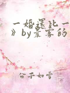 一婚还比一婚高》by晨雾的光