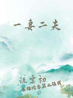 一妻二夫