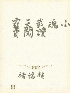 霸天武魂小说免费阅读