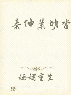 秦仲叶明沓小说
