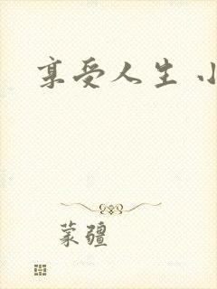 享受人生 小说