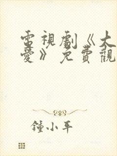 电视剧《大约是爱》免费观看全集