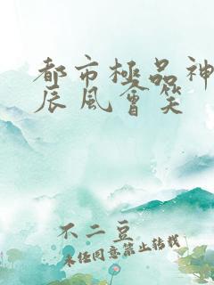都市极品神医叶辰 风会笑