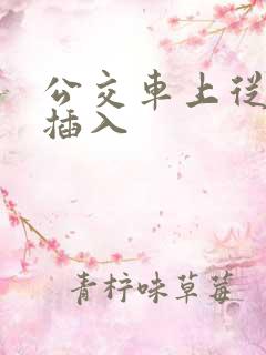 公交车上从背后插入