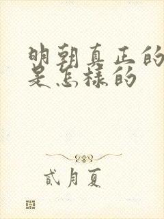 明朝真正的历史是怎样的