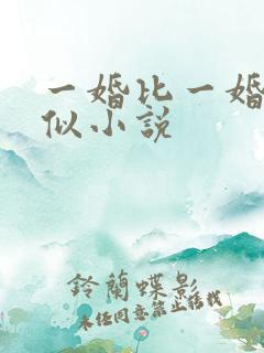 一婚比一婚高类似小说