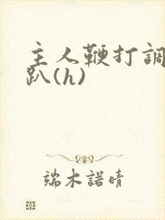 主人鞭打调教跪趴(h)