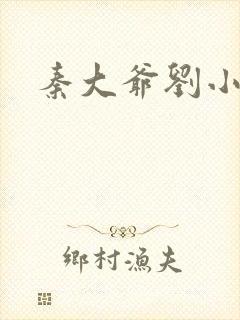 秦大爷刘小静