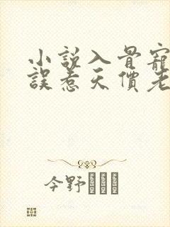 小说入骨宠婚:误惹天价老公免费阅读