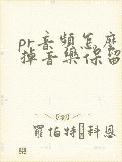 pr音频怎么去掉音乐保留人声