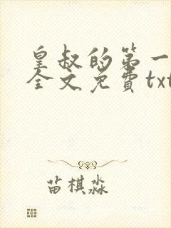 皇叔的第一宠妃全文免费txt