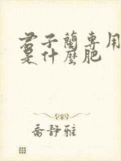 君子兰专用肥料是什么肥