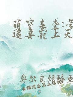 萌宝来袭:爹地追妻宠上天免费阅读