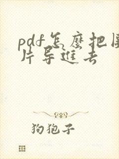 pdf怎么把图片导进去