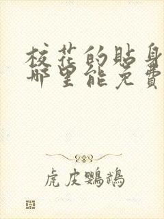 校花的贴身高手哪里能免费读