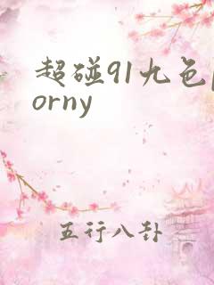 超碰91九色porny