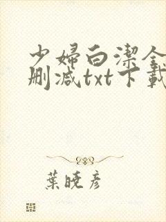 少妇白洁全文无删减txt下载