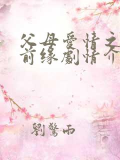 父母爱情之再续前缘剧情介绍