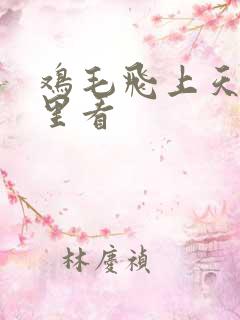 鸡毛飞上天在哪里看