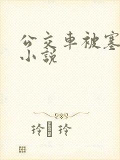 公交车被塞跳蛋小说