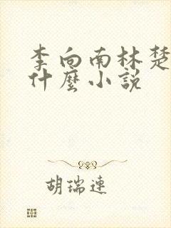 李向南林楚乔是什么小说