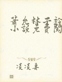 萧允林子衿穿越小说免费阅读无弹窗