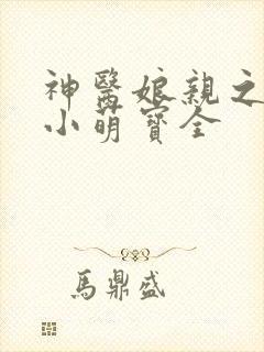 神医娘亲之腹黑小萌宝全
