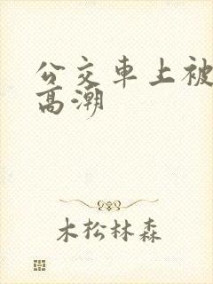 公交车上被插到高潮