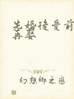 先婚后爱前妻难再娶