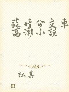 苏晴公交车被弄高潮小说