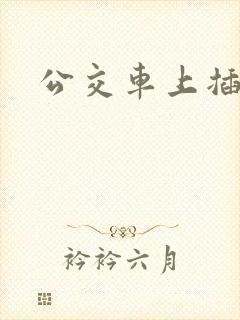 公交车上插小说