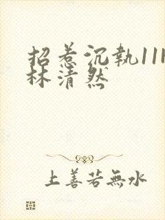招惹沉执11H林清然