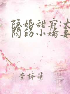 隐婚甜宠:大财阀的小娇妻