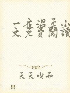 一夜温柔小说全文免费阅读无弹窗
