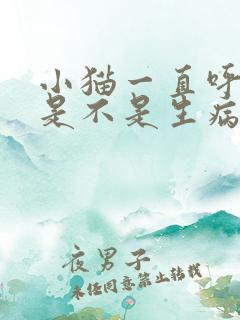 小猫一直呼噜声是不是生病了