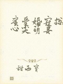 蜜爱婚宠总裁的心尖萌妻