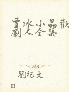 贾冰小品欢乐喜剧人全集