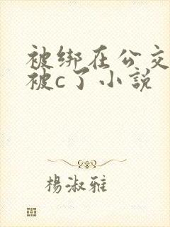被绑在公交车里被c了小说