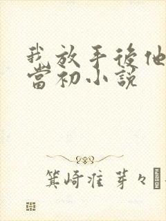 我放手后他悔不当初小说