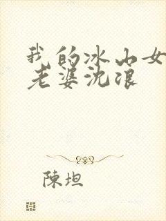 我的冰山女总裁老婆沈浪