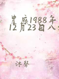 农历1988年12月23日八字算命