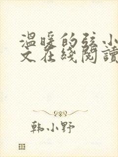 温暖的弦小说全文在线阅读