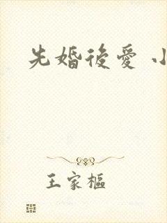 先婚后爱 小说