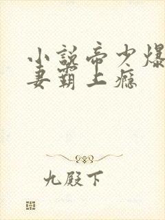 小说帝少爆宠娇妻霸上瘾