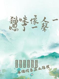 猫咪像人一样的嗯了一声